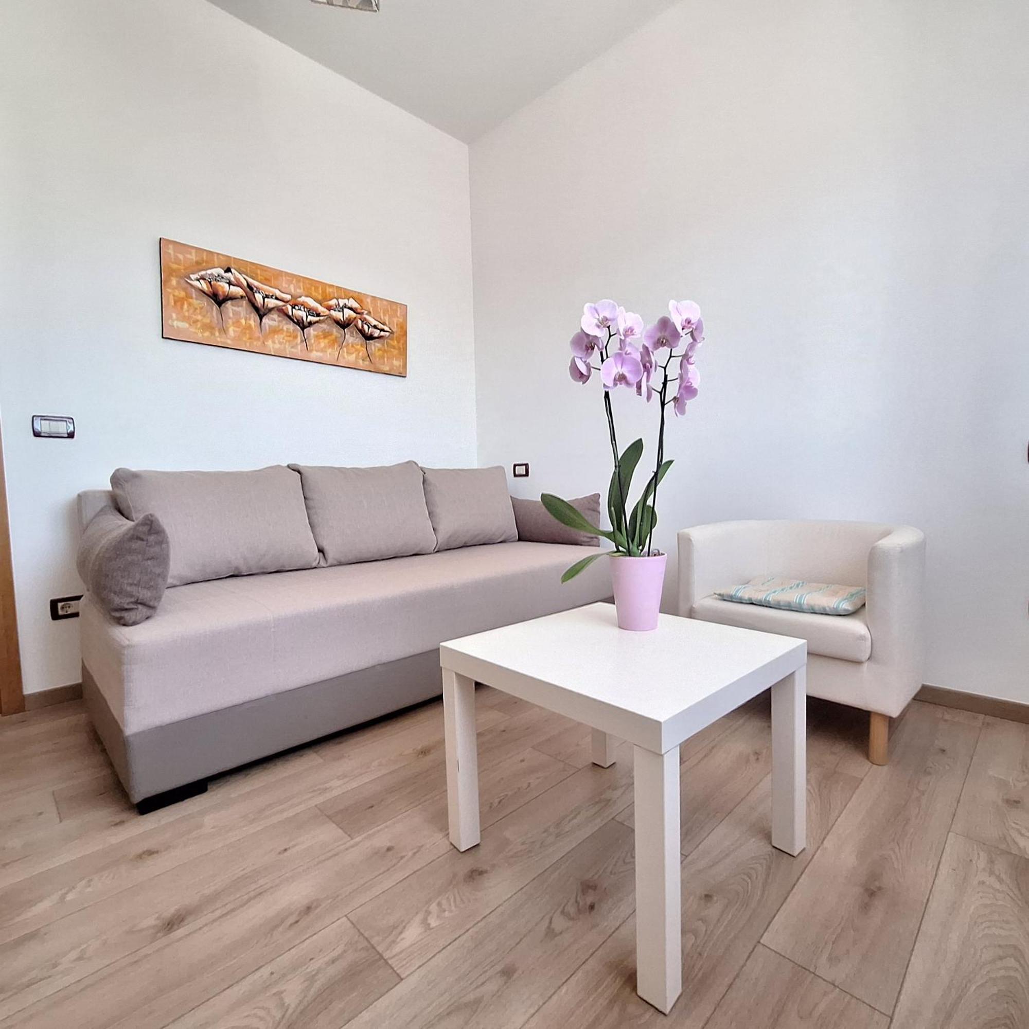 Apartment Mita Grožnjan Esterno foto